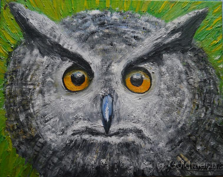 Uhu (40x50)cm.jpg - Uhu / Owl (40x50)cm - Öl auf Leinwand, 2016